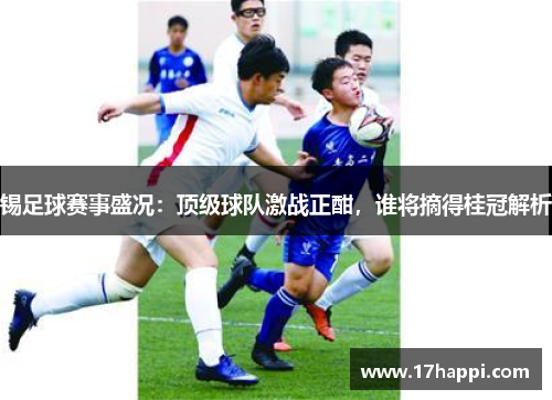 锡足球赛事盛况：顶级球队激战正酣，谁将摘得桂冠解析